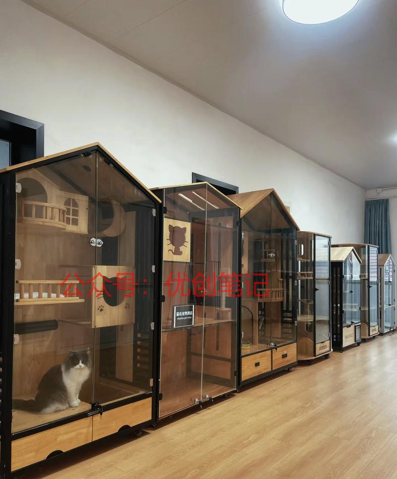 同城猫寄养酒店这是一个长期能..情报-搞钱线报📢论坛-网创交流-优创圈